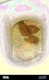 thumbnail of c7K11ltlDYYB.jpg