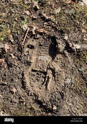 thumbnail of boot-print-in-mud-and-springtime-sunshine-S43RXE.jpg