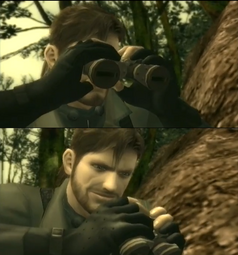 thumbnail of mgs3 bees.png