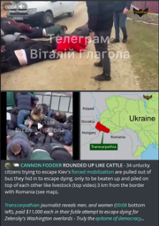 thumbnail of Ukraine_forced recruit_cattle.PNG