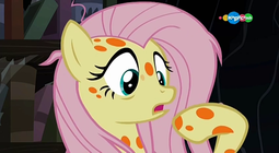 thumbnail of 1662177__safe_fluttershy_pegasus_pony_a+health+of+information_carousel+28tv+channel29_female_mare_messy+mane_screencap_sick_solo_spots_swamp+fever.png