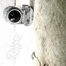 thumbnail of LCD Soundsystem  - Someone Great .mp3
