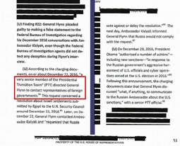 thumbnail of Flynn Directed to contact rep.jpg