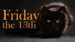 thumbnail of black cat-friday13.png