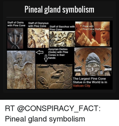thumbnail of pineal-gland-symbolism-staff-of-osiris-staff-of-dionysus-with-14684126.png