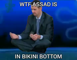 thumbnail of WTF Bashar in Spongeboegob.mp4