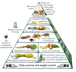 thumbnail of Harvard_food_pyramid.png