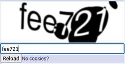 thumbnail of FEE_captcha.JPG