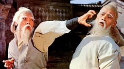 thumbnail of classic-kung-fu.jpg