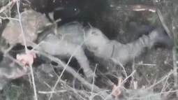 thumbnail of original(1).mp4