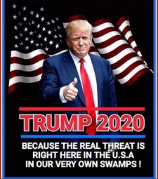 thumbnail of trump-2020-swamp.jpg