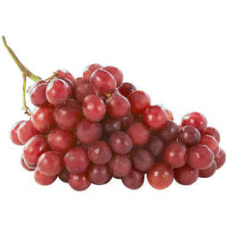 thumbnail of red grape 30 of 41.jpg