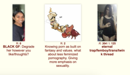 thumbnail of b 2.jpeg