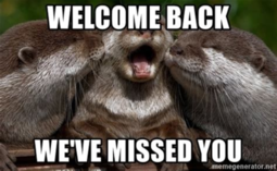 thumbnail of Welcome Back.png