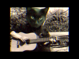 thumbnail of singing cat.webm
