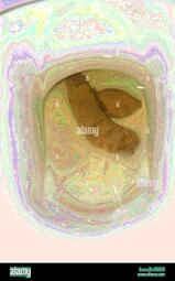 thumbnail of YsxqWjaMl7A91I.jpg