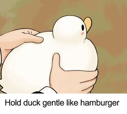 thumbnail of likehamburger.jpg