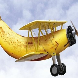 thumbnail of flying banana aircraft.jpg