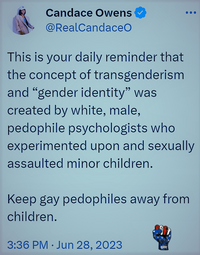 thumbnail of trans pedo.png