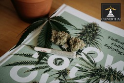 thumbnail of Cannabis-and-You.jpg