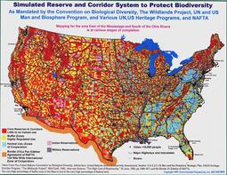 thumbnail of UN_SimulationMap21.jpg