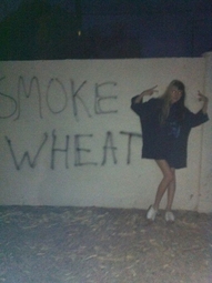 thumbnail of smoke wheat.jpg