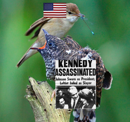 thumbnail of JFK timeline unless you fix it completely all the shit since 1963 cuckoo and reed warbler.png
