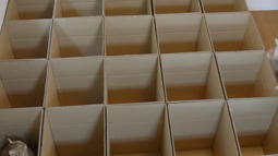 thumbnail of cats boxes.webm