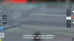 thumbnail of 5427825.mp4