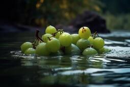 thumbnail of grapes.jpeg