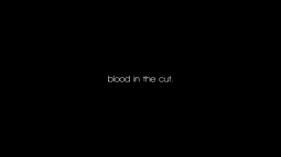 thumbnail of Blood in the Cut Monogatari AMV.mp4