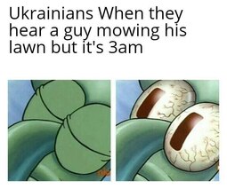 thumbnail of ukraine_lawn_mower_meme.jpg