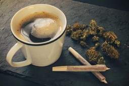 thumbnail of Cannabis-Coffee.jpg