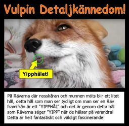 thumbnail of Yipphålet-1.jpg