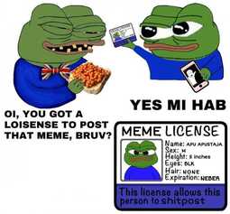 thumbnail of loicense pepe.jpg