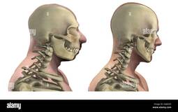 thumbnail of digital-illustration-and-render-of-a-neanderthal-man-2AJ6D2E.jpg