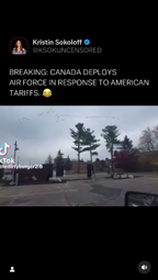 thumbnail of Breaking Canada deploys Air Force.mp4