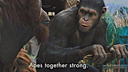 thumbnail of apes strong together.jpg