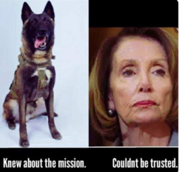 thumbnail of dog trusted pelosi not.PNG