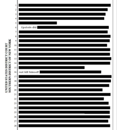 thumbnail of redacted.png