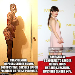 thumbnail of transgender.jpg