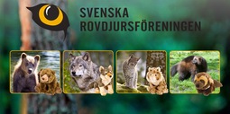 thumbnail of SVENSKA ROVDJURSFÖRENINGEN Bild 1.jpg