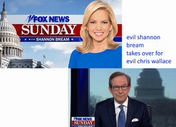 thumbnail of shannon bream chris wallace swamp news sunday 01082023.png