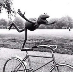 thumbnail of frogbike.png