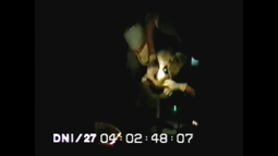thumbnail of Area 51 - The Alien Interview (1997).webm