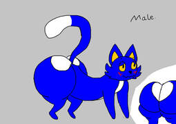 thumbnail of blue_cat_butt_by_nethernets.jpg
