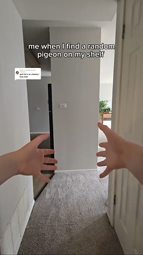 thumbnail of Snaptik.app_7447990159209008427.mp4