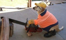 thumbnail of dogr chainsaw.jpg