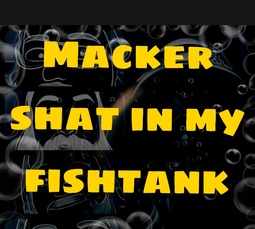 thumbnail of mack shat fishtank.jpg