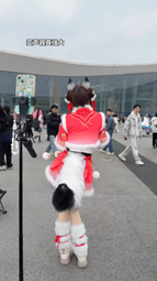 thumbnail of 7468885701279485189.mp4